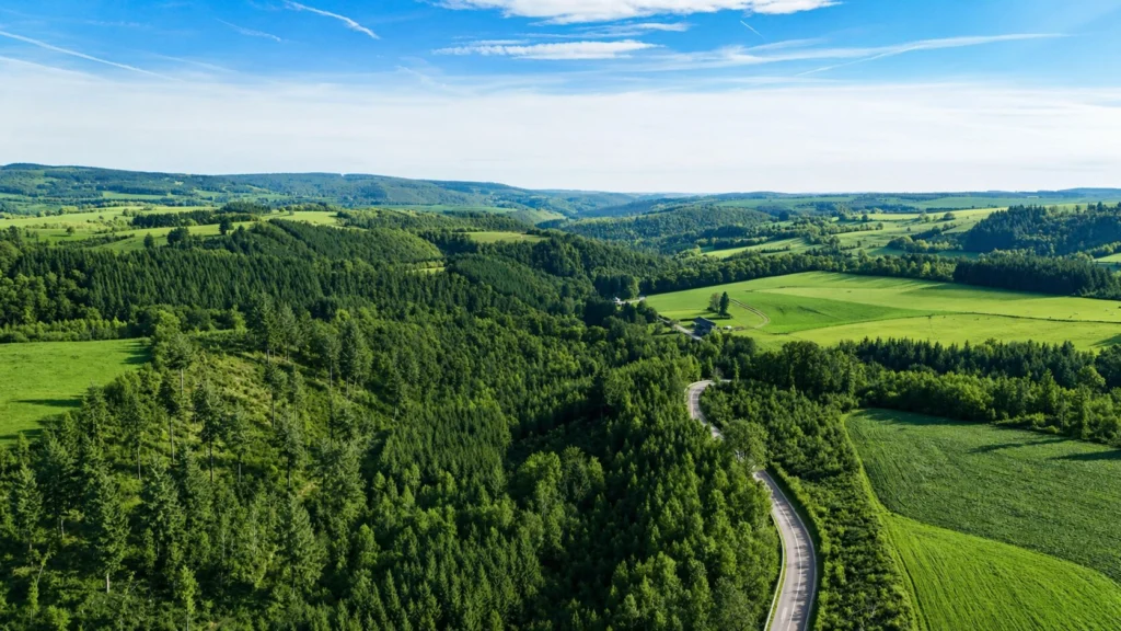 Bertogne landscape