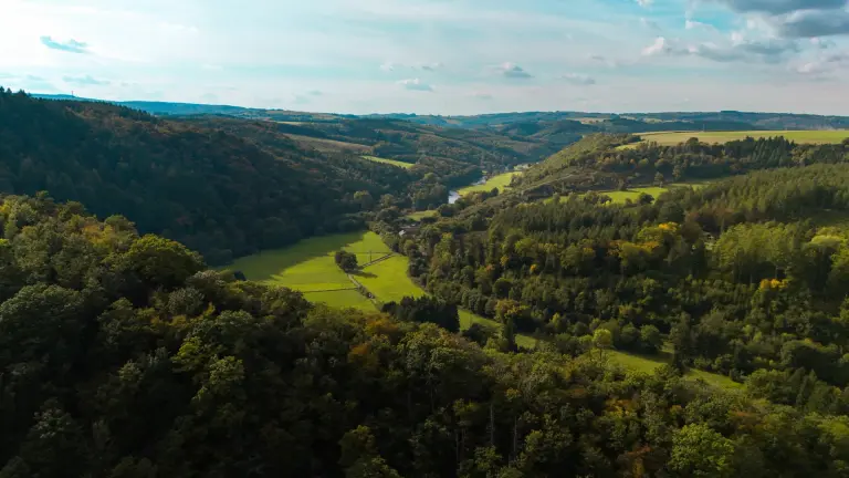 Nature near La Roche-en-Ardenne