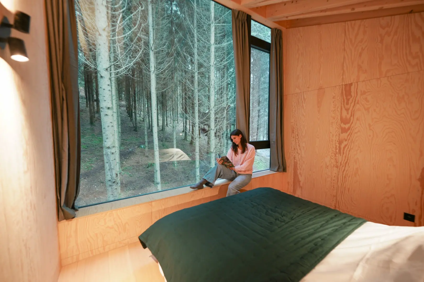 Fox interior 1