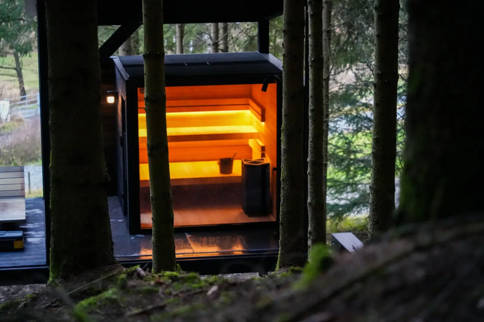 Fox interior 2